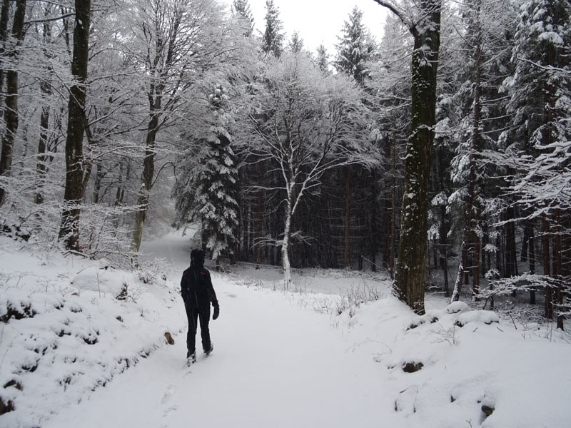 breve passeggiata tra la neve fresca di oggi.....